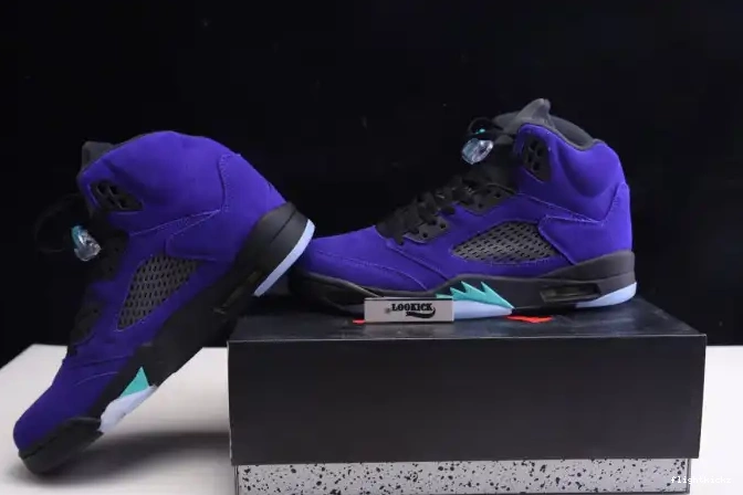 Alternate Jordan 136027-500 Grape Air Retro 5 0516